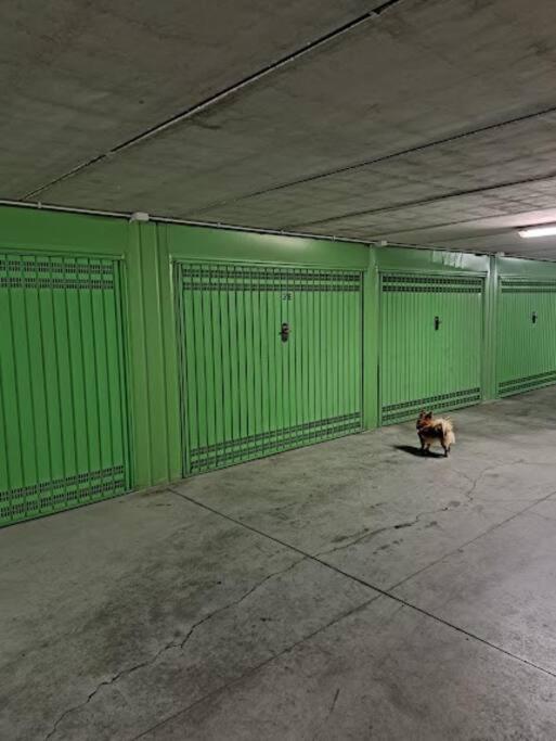 阿尔玛·迪·塔吉亚Centrale Vicino Spiagge E Ciclabile + Box-Auto !公寓 外观 照片